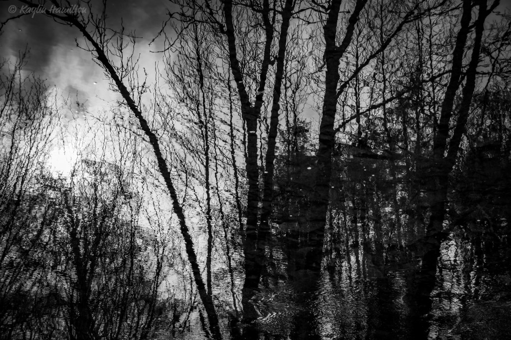 #22 River Abstract