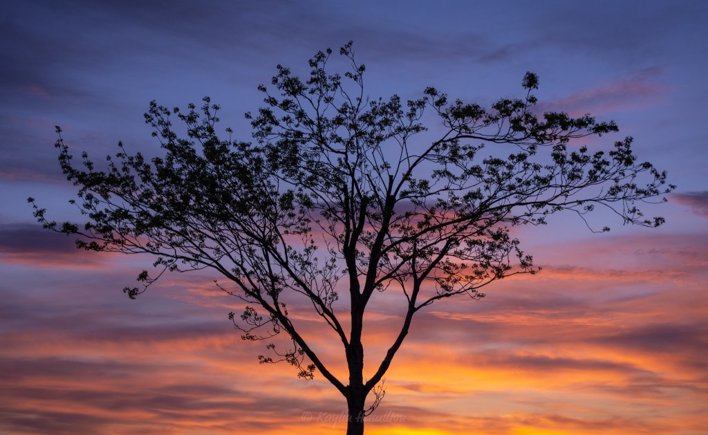 #21 Day’s End