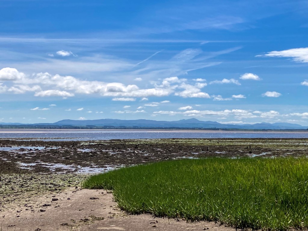 #56 Johnbo’s Cellpic Sunday – Sunny Solway&nbsp;Coast